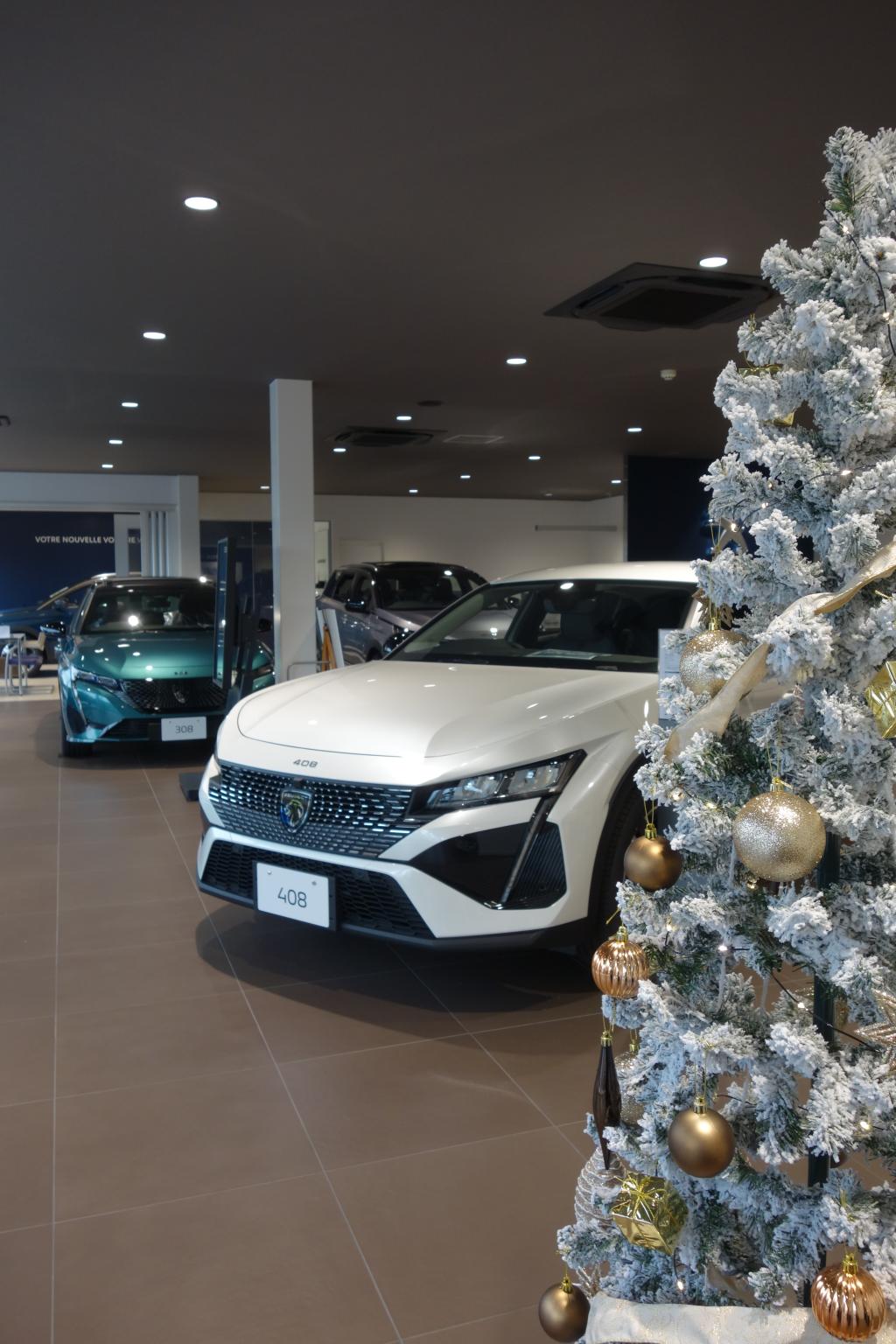 今年はホワイトクリスマスに…⛄🎄？
