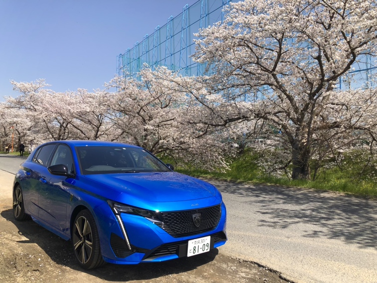  PEUGEOT奈良 卒業の日🎀