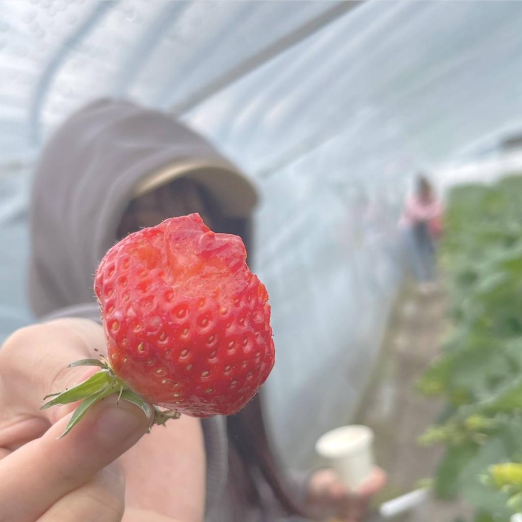 皆さま！いちごの季節ですよッ！🍓✨