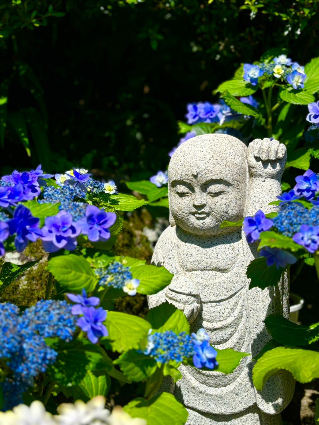 自然を感じてきました🌱🌱🌱