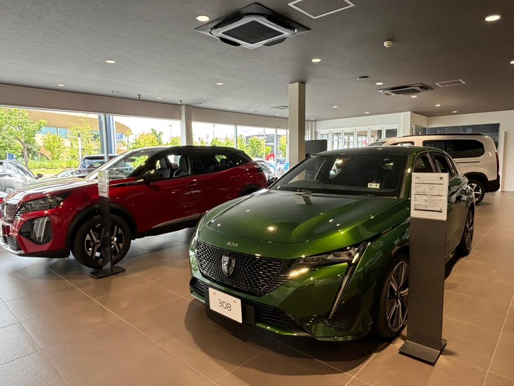 ショールームの展示車が入れ替わりました🚗✨