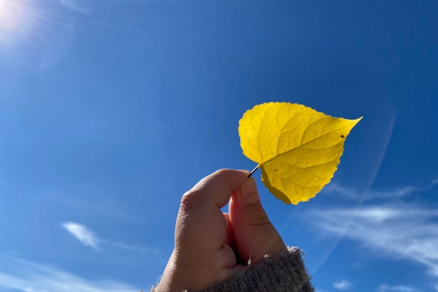 明日は定休日になっております🙇🏻‍♀️🙇🏻‍♀️