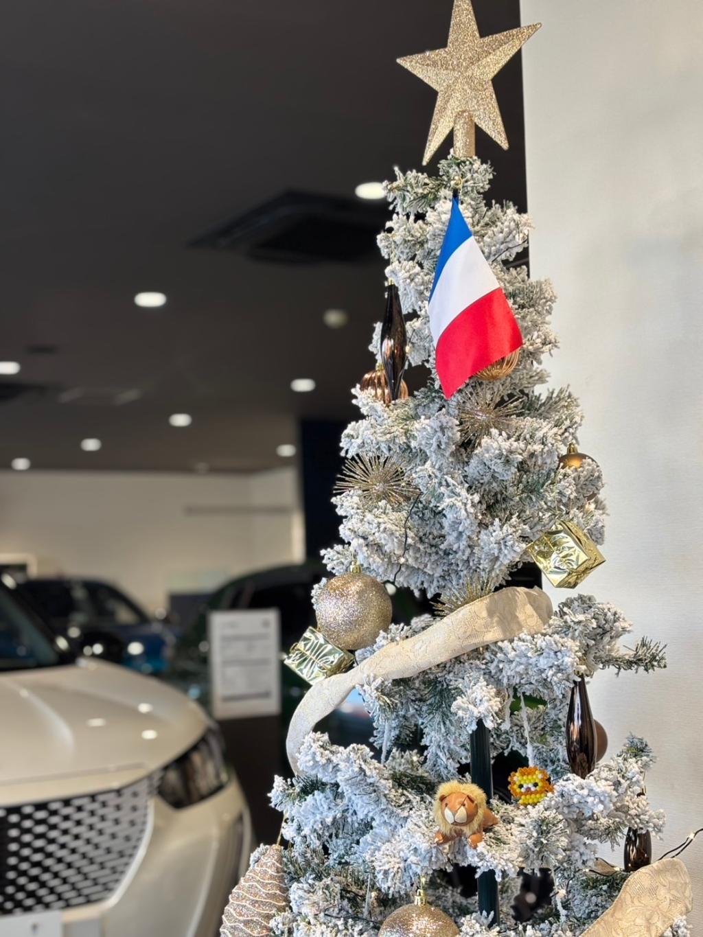 皆さま、クリスマスの準備は出来ていますでしょうか？？