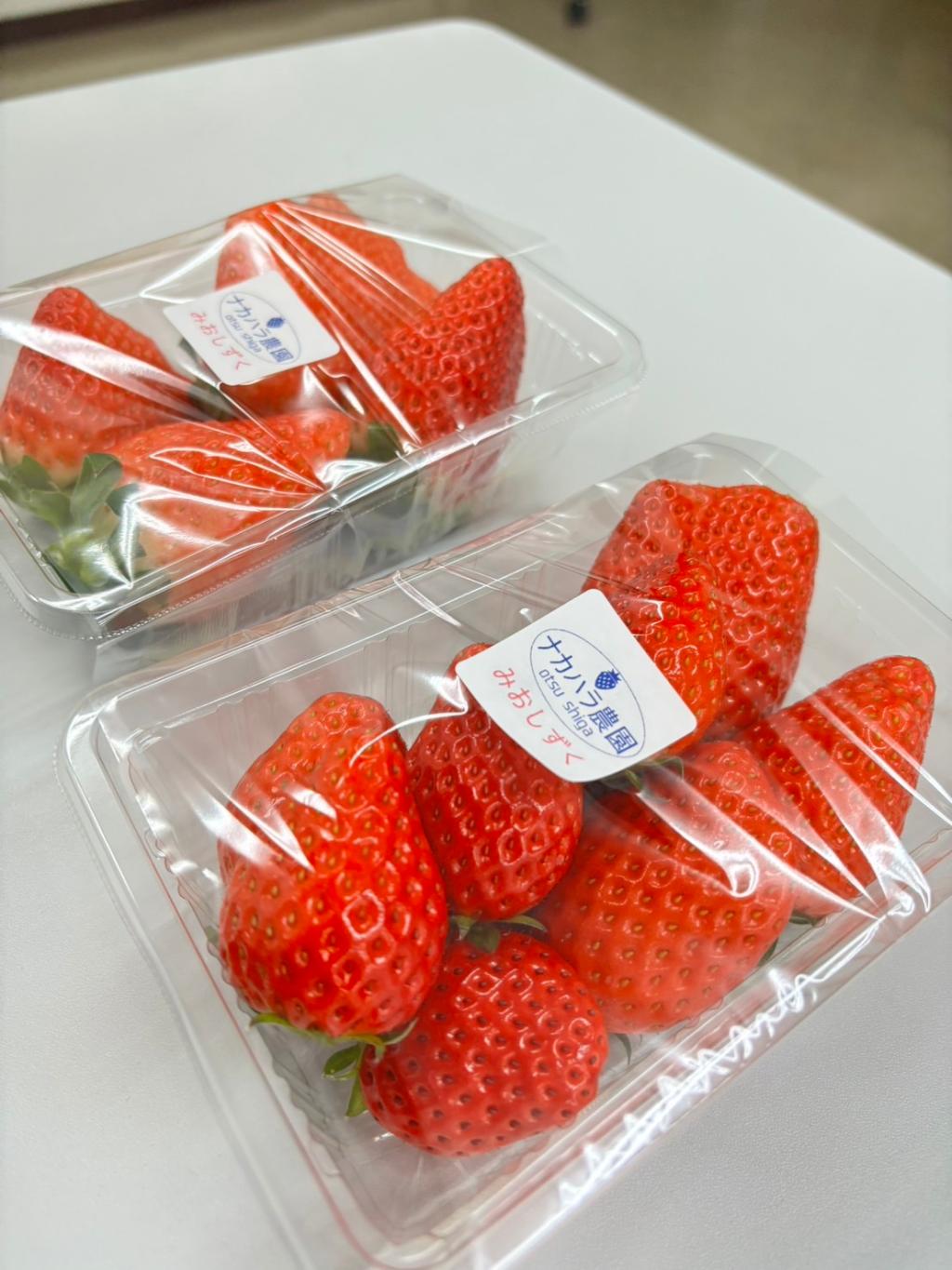 苺・苺・苺🍓🍓