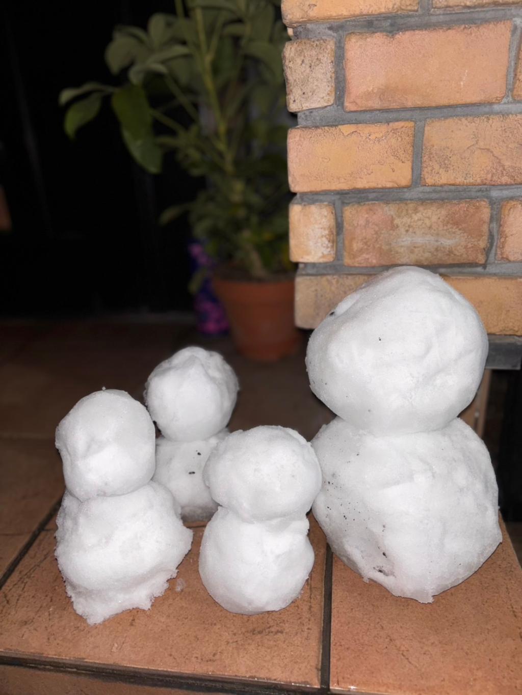 雪！雪！雪！雪でございます☃️☃️☃️