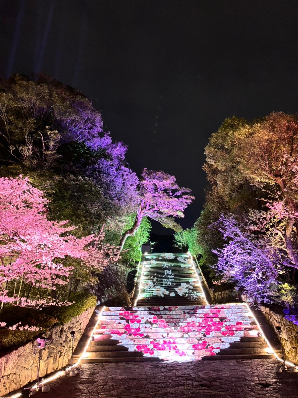 お花見！満開でした🌸🌸💕