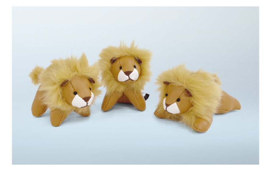 明日からPEUGEOT PETIT LION FAIR開催です🦁