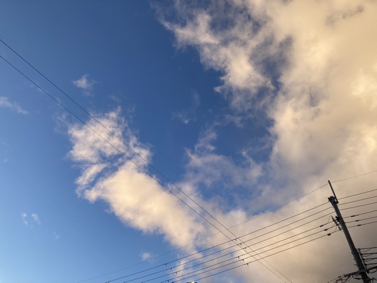 明日は定休日になっております🙇🏻‍♀️🙇🏻‍♀️