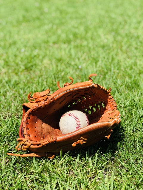高校野球の決勝の日！勝者は？？