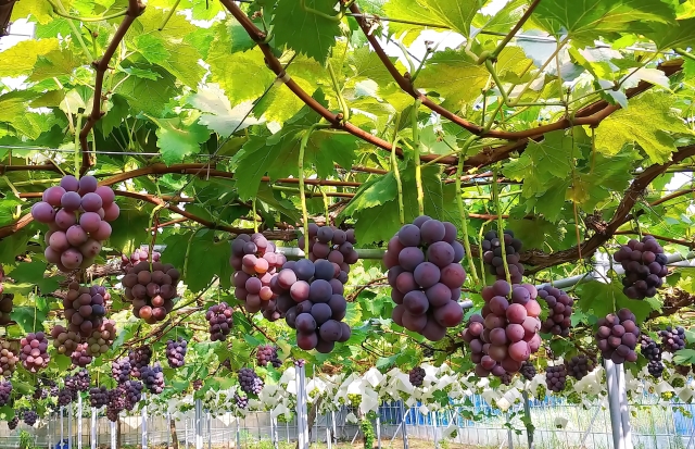 秋っぽくなってきましたね💭💭