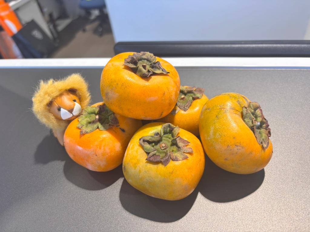 明日は定休日になっております🙇🏻‍♀️🙇🏻‍♀️