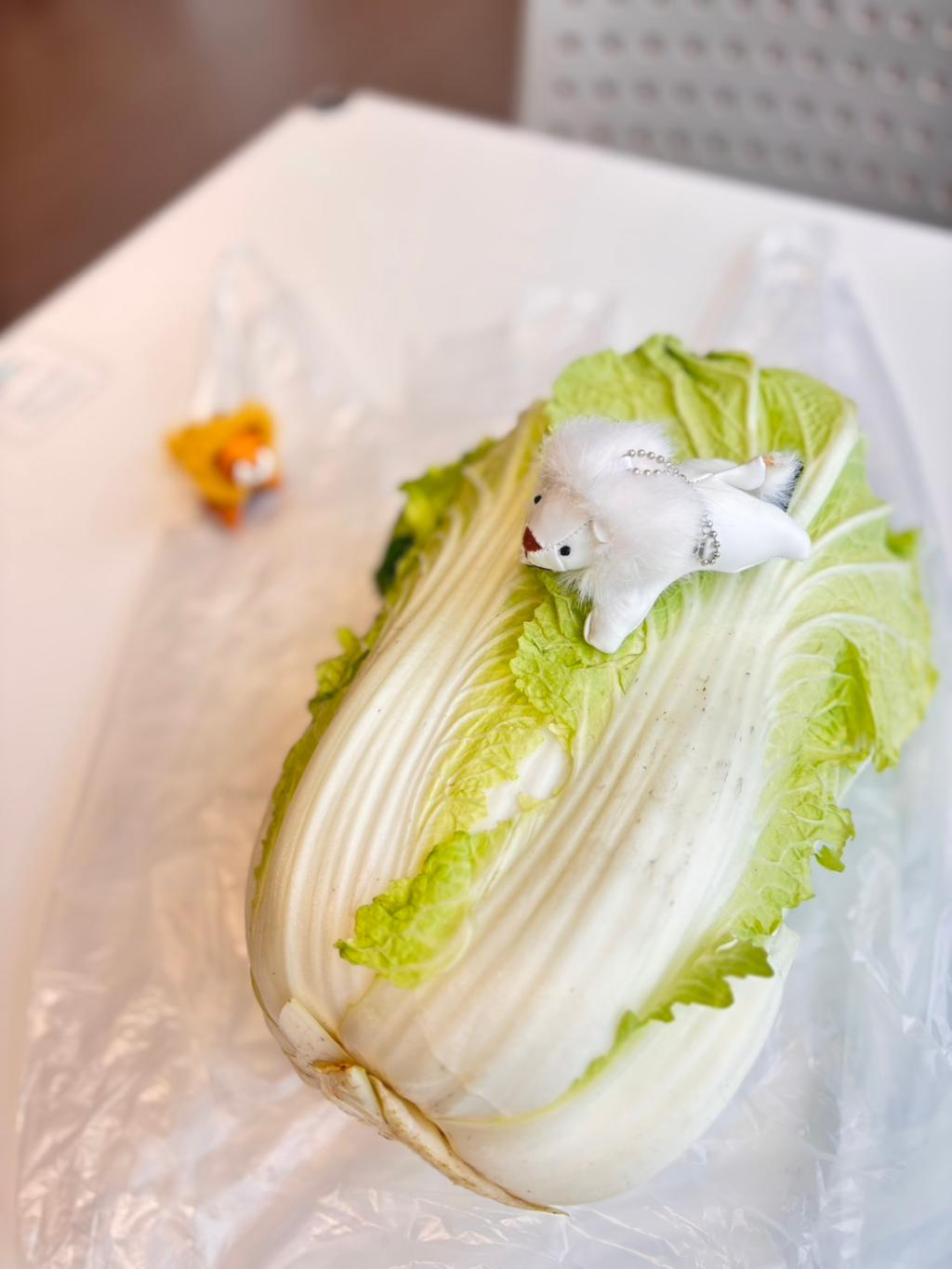 RIFTER LONG Kiama Blue Edition デビューフェア💙🩵