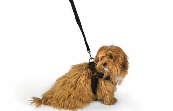 PEUGEOT 3008 おすすめアクセサリー✨✨