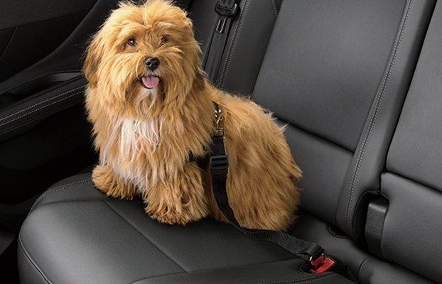 PEUGEOT 3008 おすすめアクセサリー✨✨