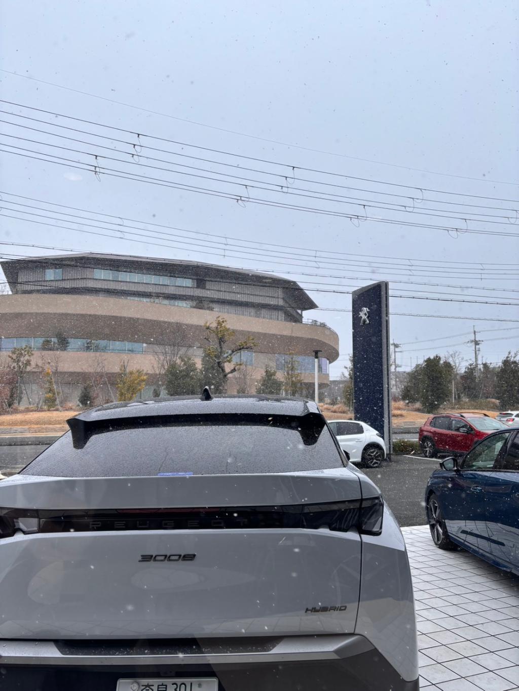 雪雪雪、吹雪です❄️❄️😥